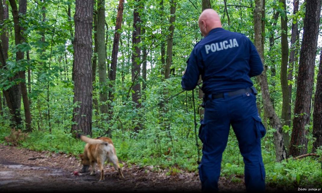 Kolizje drogowe w powiecie działdowskim – szczegóły zdarzeń