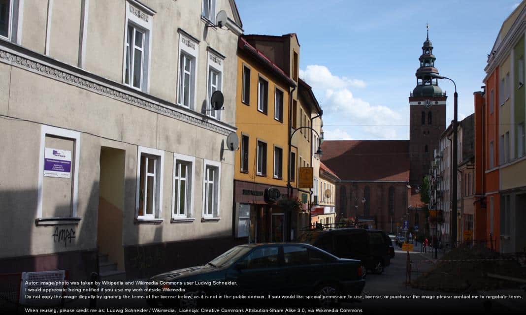 Realizacja Edukacyjnej Ścieżki Ekologicznej w Lidzbarku